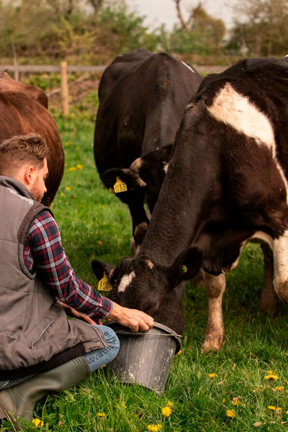 Cinco Libertades del Bienestar Animal AEBA