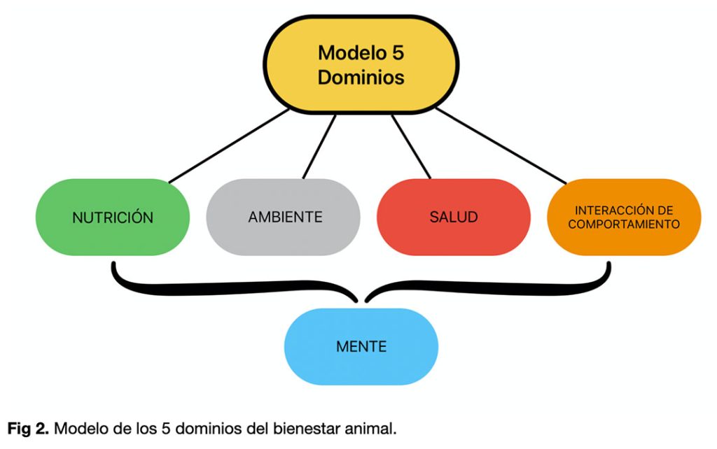 breve historia sobre el bienestar animal AEBA Bienestar Animal Ecuador
