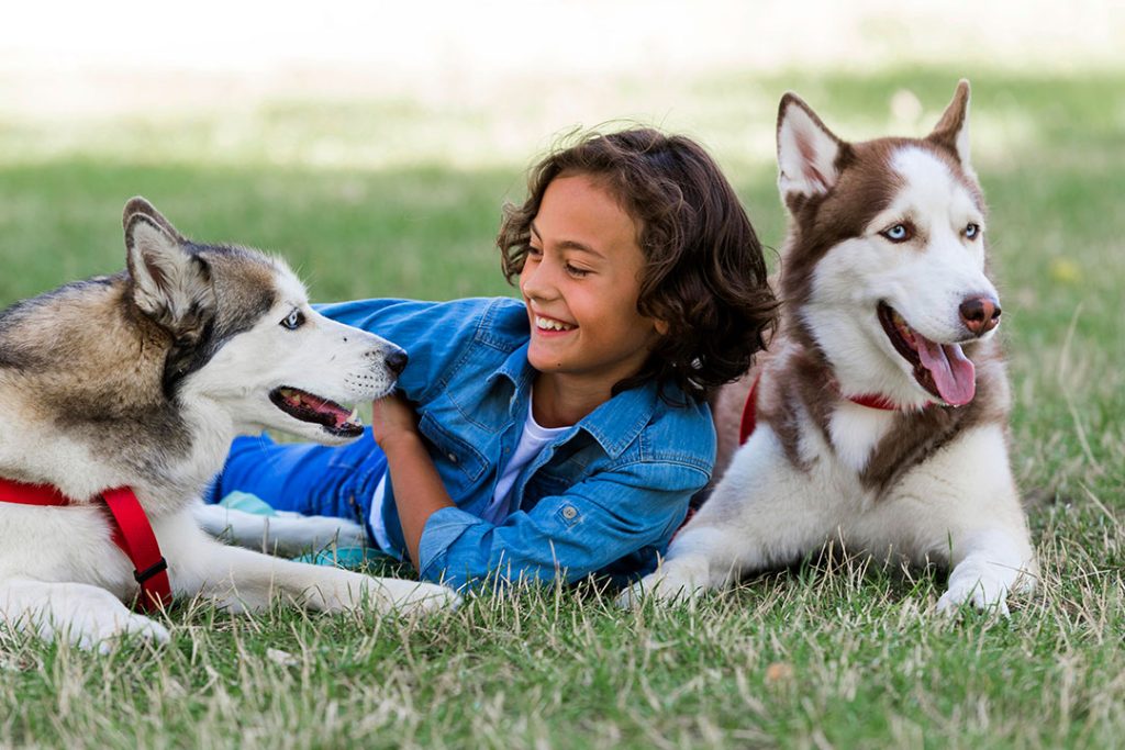 mascotas ola de calor AEBA